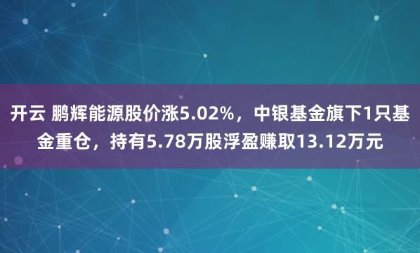 开云 鹏辉能源股价涨5.02%，中银基金旗下1只基金重仓，持有5.78万股浮盈赚取13.12万元